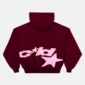 Parte trasera de la sudadera Burgundy Cold Culture Distressed Defense con gráfico rosa de acabado desgastado